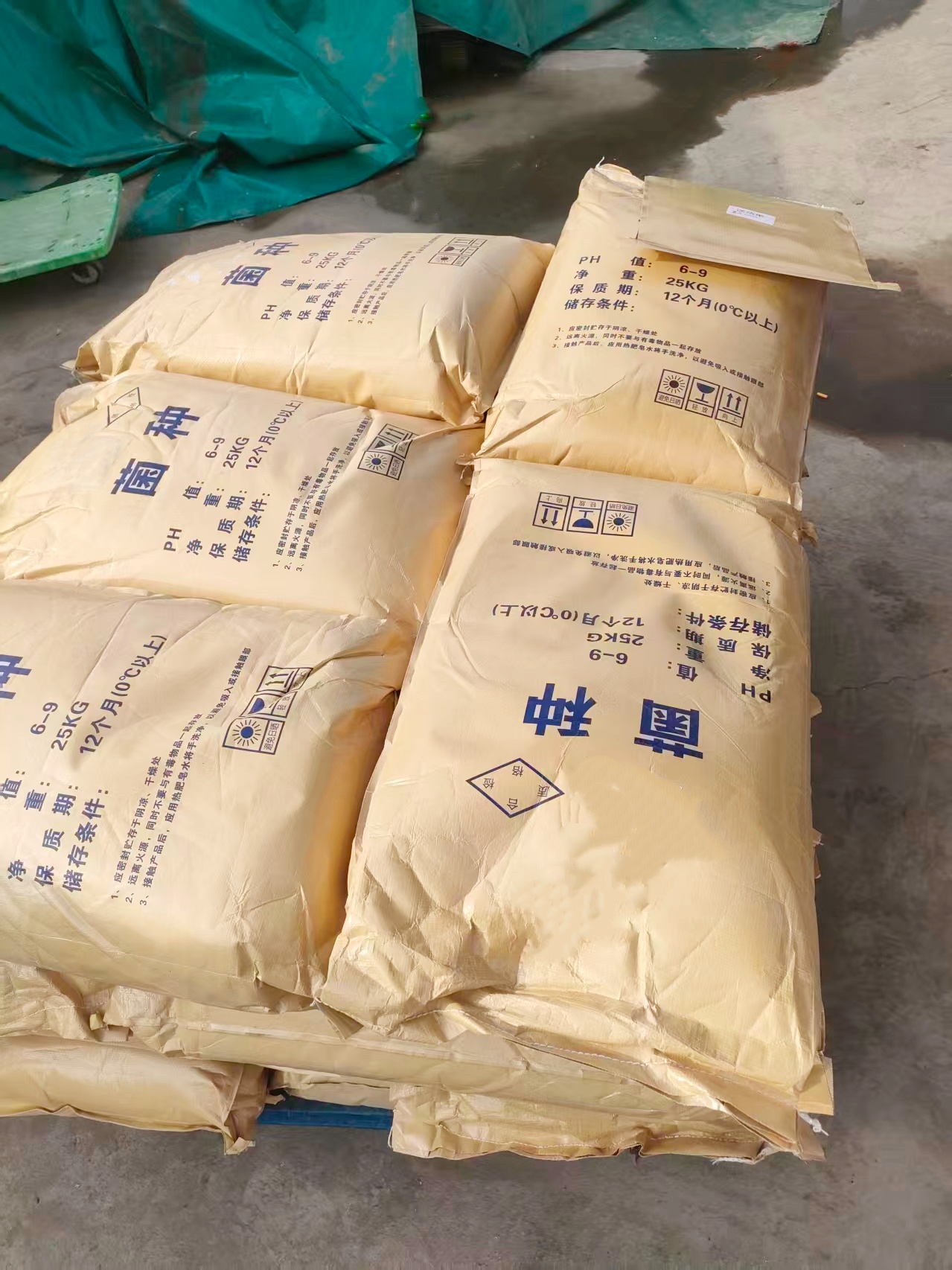 ΢�������